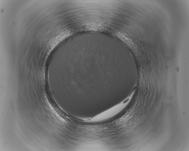 X0000087020630200704301315