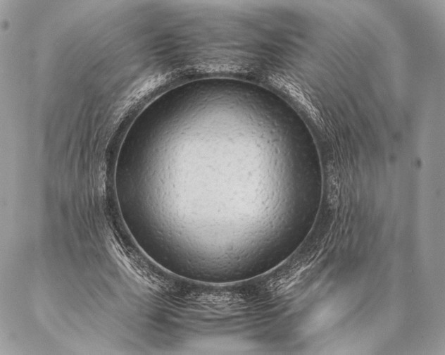 X0000087020631200704301315