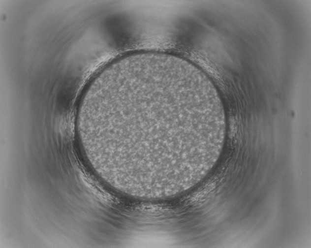 X0000087020632200704301315