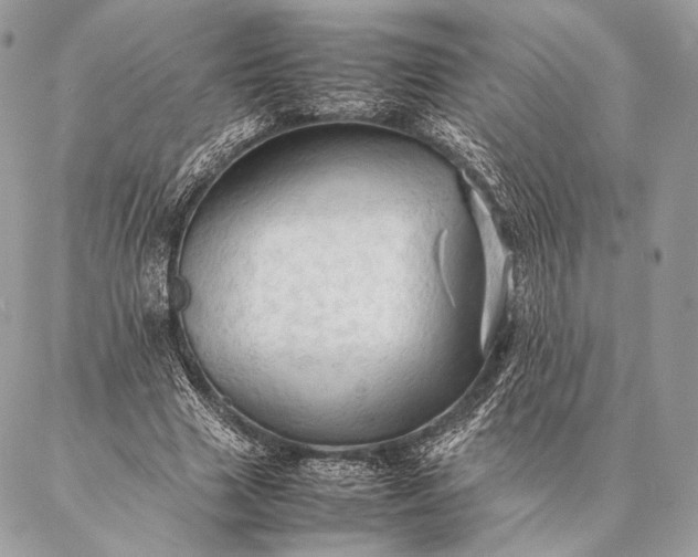 X0000087020633200704301315