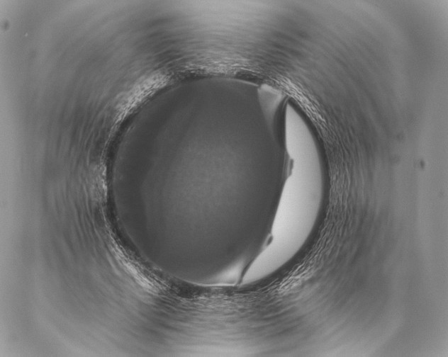 X0000087020634200704301315