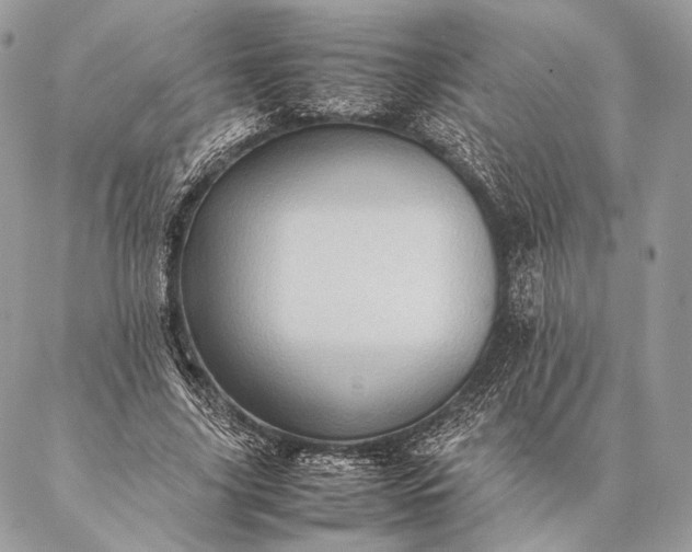 X0000087020635200704301315