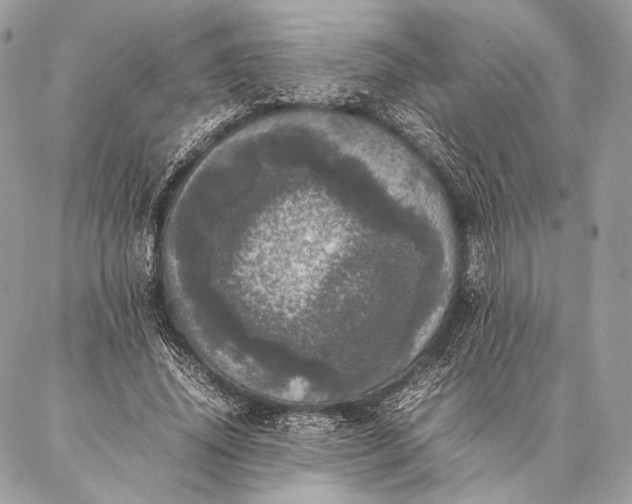 X0000087020636200704301315