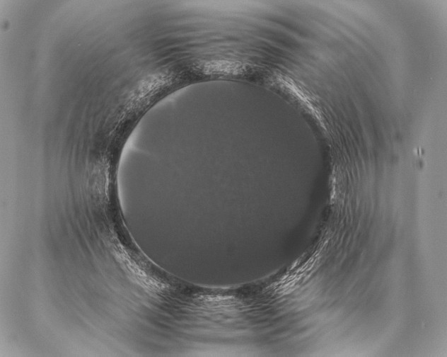 X0000087020637200704301315