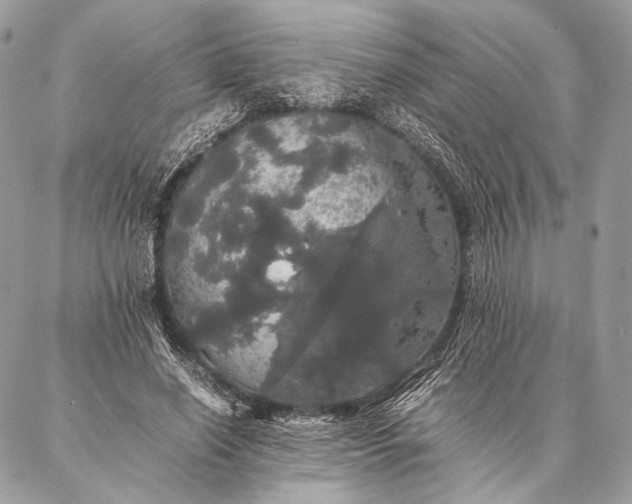 X0000087020638200704301315