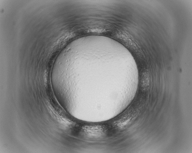 X0000087020639200704301315