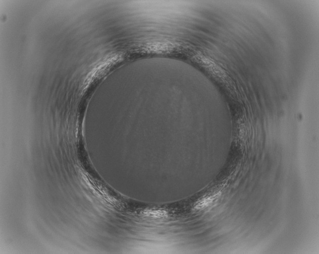 X0000087020640200704301315