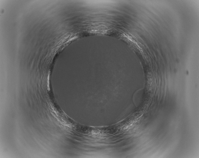 X0000087020641200704301315