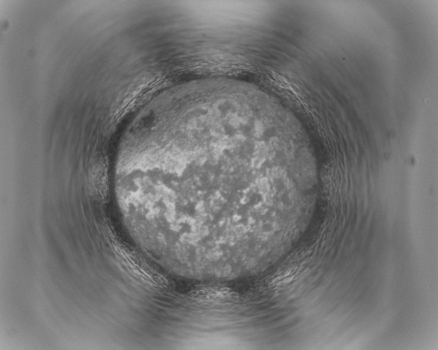 X0000087020642200704301315