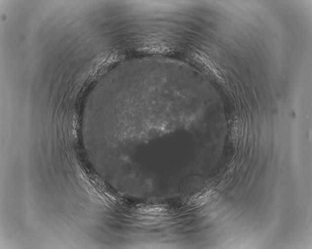 X0000087020643200704301315