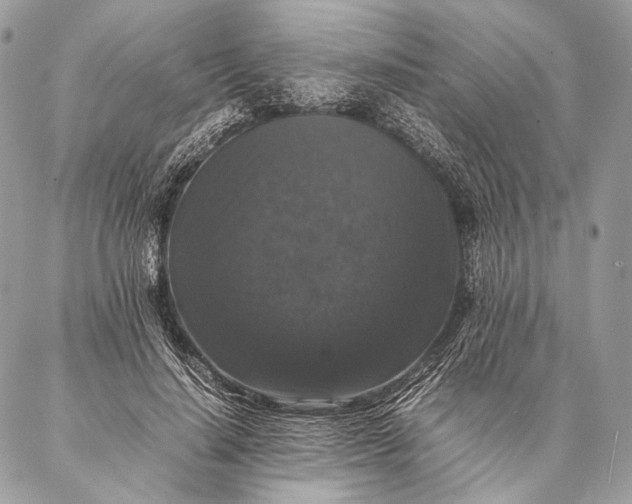 X0000087020644200704301315