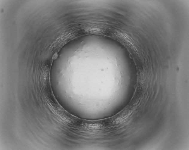 X0000087020645200704301315