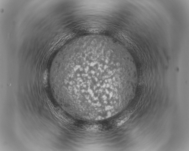 X0000087020646200704301315