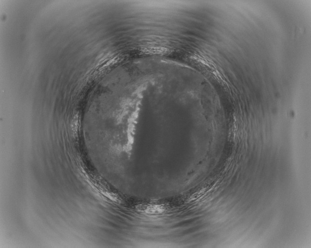 X0000087020647200704301315