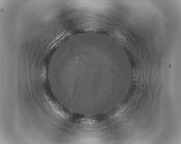 X0000087020648200704301315