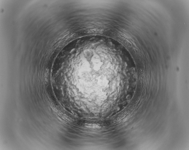 X0000087020649200704301315