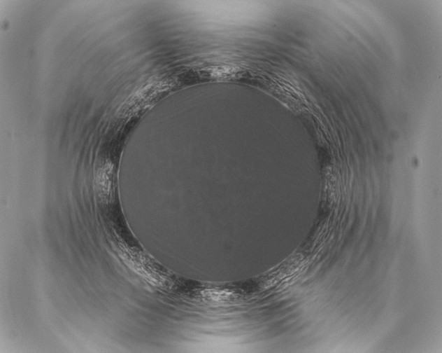 X0000087020650200704301315