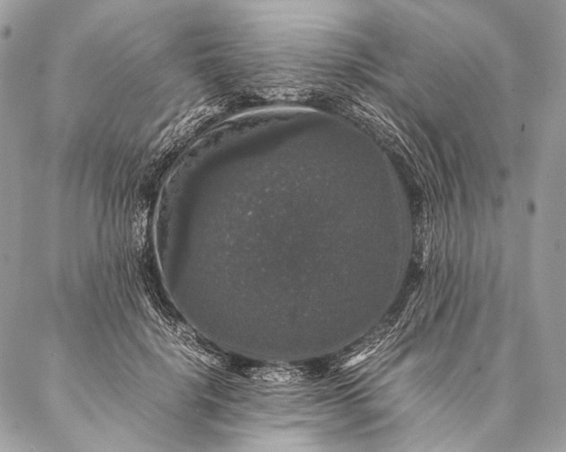 X0000087020652200704301315