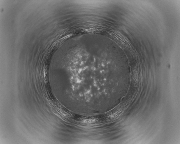 X0000087020653200704301315