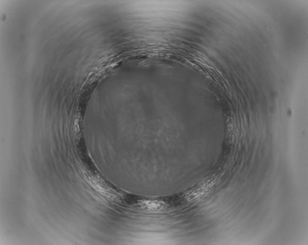 X0000087020654200704301315