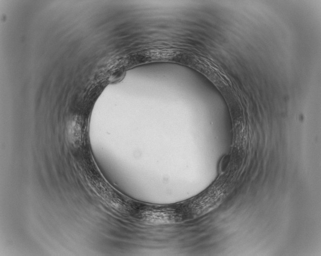 X0000087020655200704301315