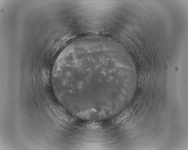 X0000087020656200704301315