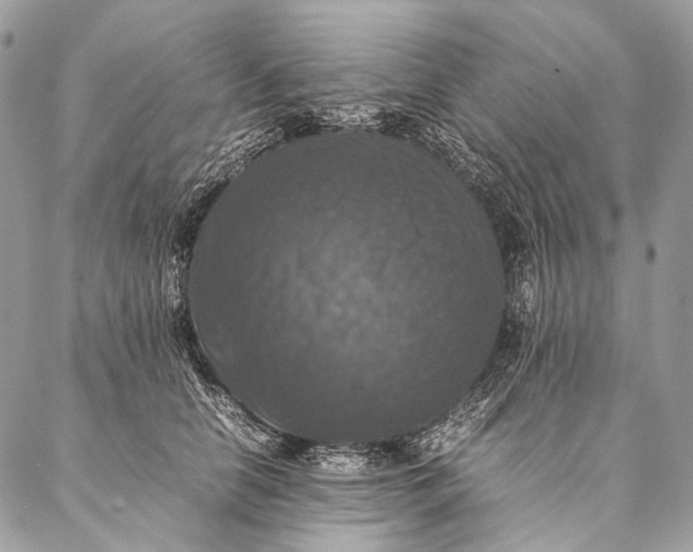 X0000087020658200704301315