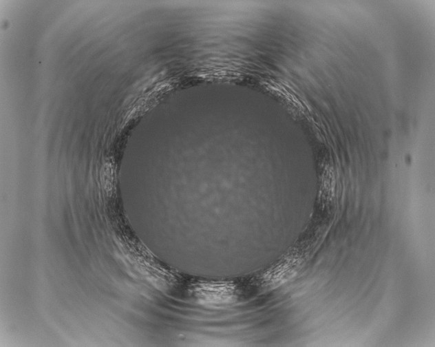 X0000087020659200704301315