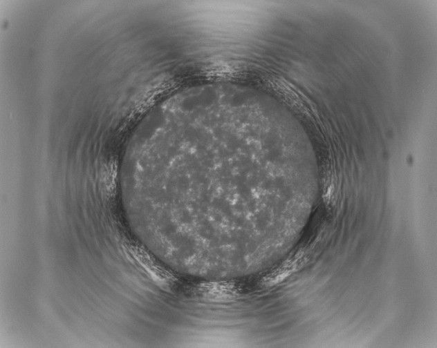 X0000087020660200704301315