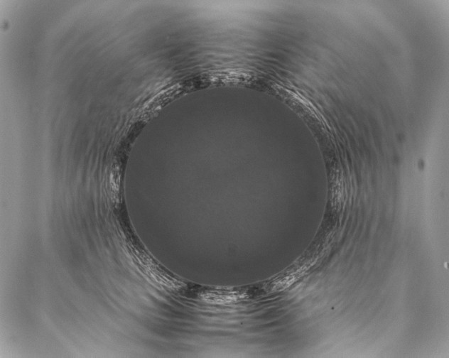 X0000087020661200704301315