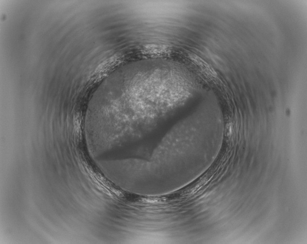 X0000087020662200704301315