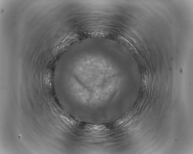 X0000087020663200704301315