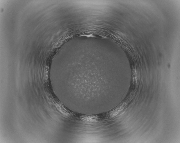 X0000087020664200704301315