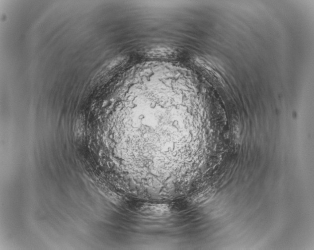 X0000087020665200704301315