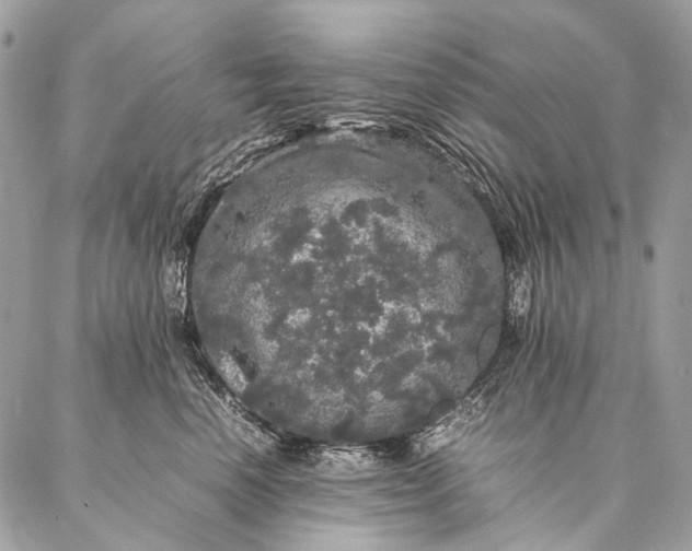 X0000087020666200704301315