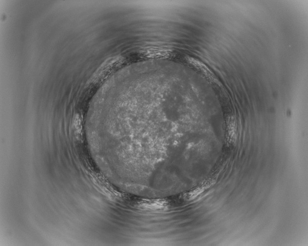 X0000087020667200704301316