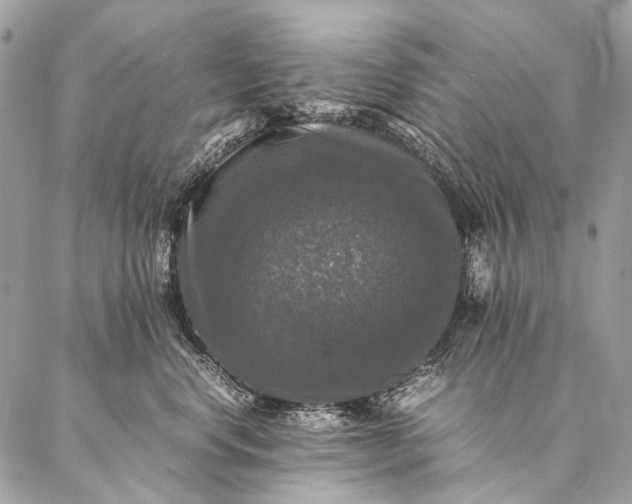 X0000087020668200704301316