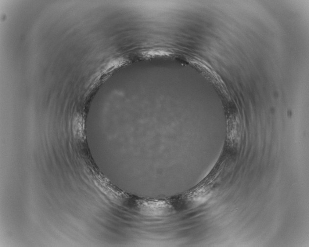 X0000087020669200704301316