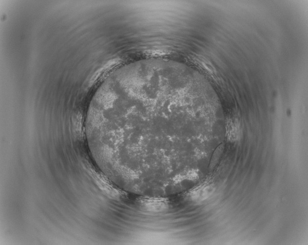 X0000087020670200704301316