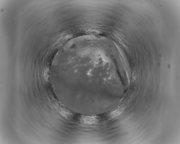 X0000087020671200704301316