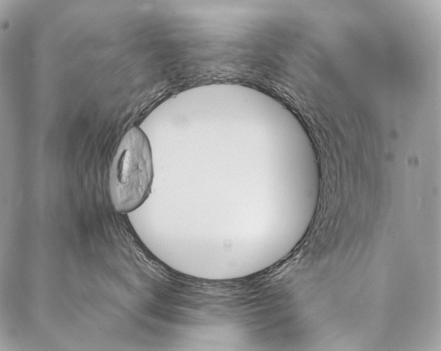 X0000087020672200704301316