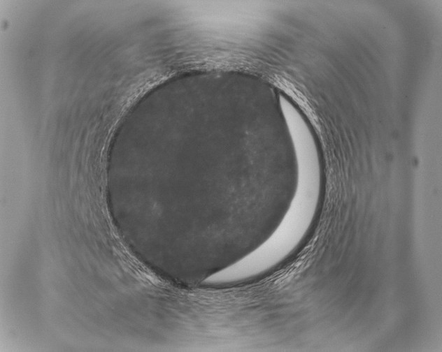 X0000087020673200704301315