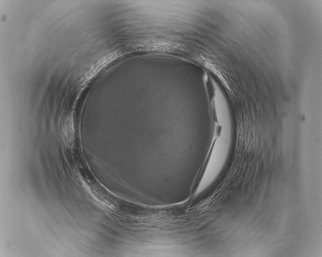 X0000087020674200704301315