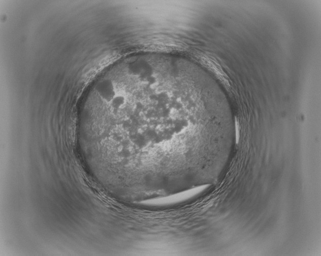 X0000087020675200704301315