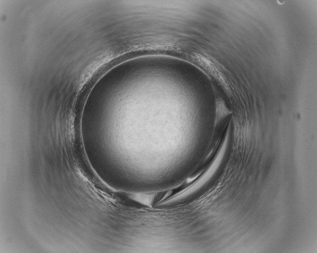 X0000087020676200704301315