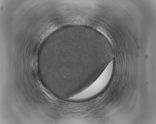 X0000087020677200704301315