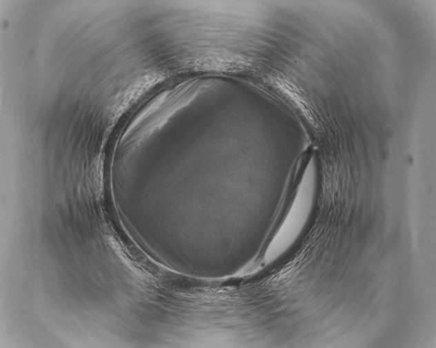 X0000087020678200704301315