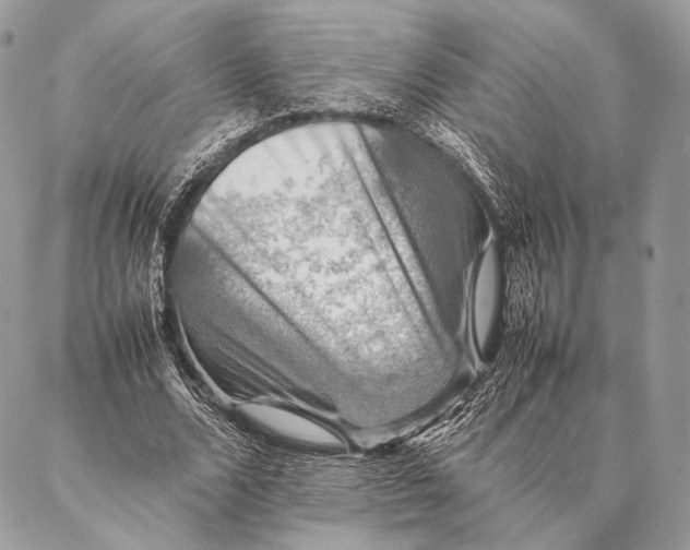 X0000087020680200704301315