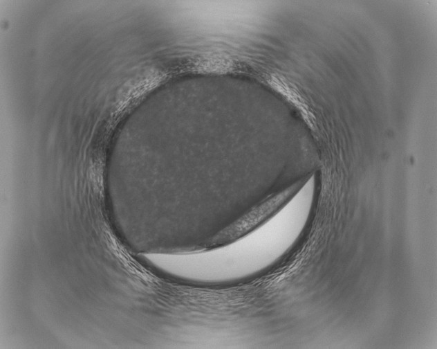 X0000087020681200704301315