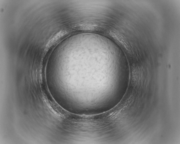 X0000087020682200704301315